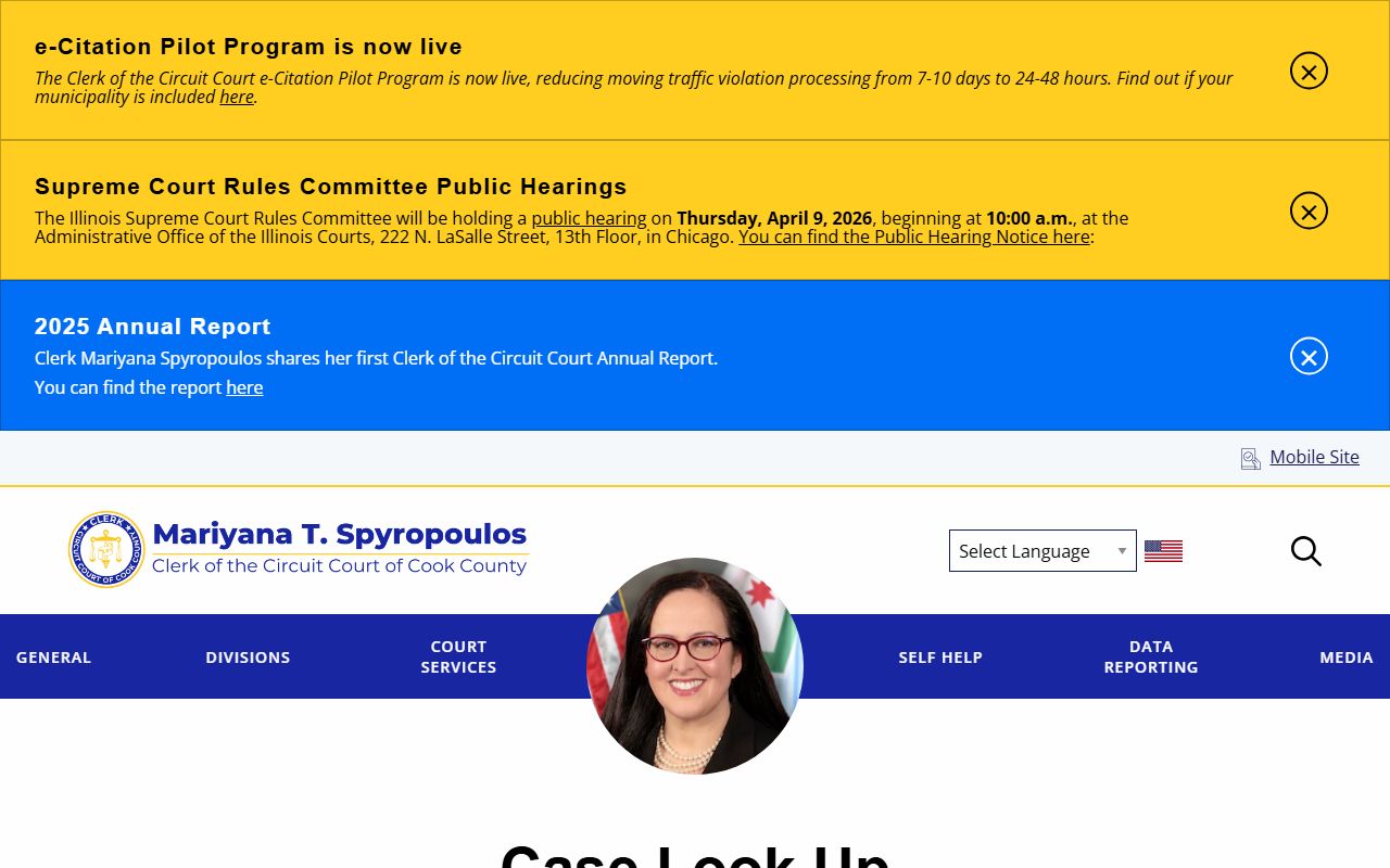 Cook County case lookup portal for court records