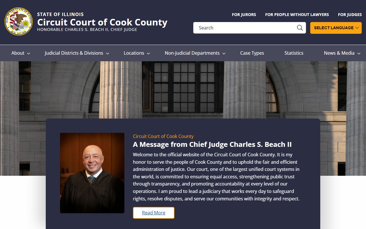 Cook County Circuit Court website for felony record information