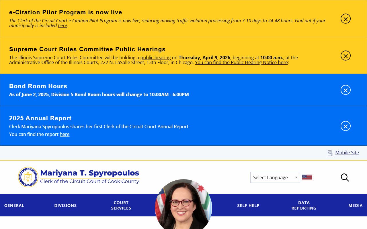 Cook County Criminal Department information for felony preliminary hearings